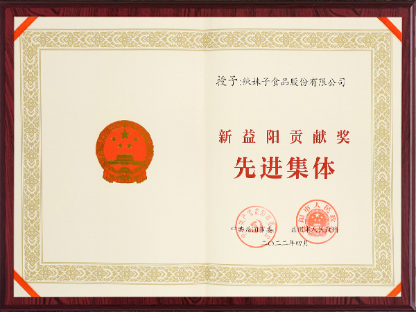 新益陽貢獻(xiàn)獎先進(jìn)集體2022